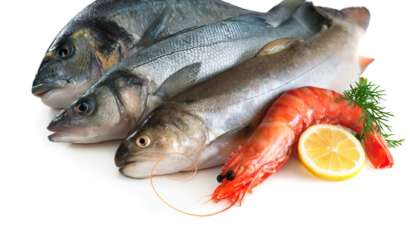 propiedades-generales-de-los-acidos-omega-3