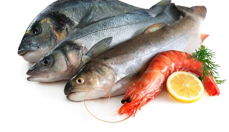 propiedades-generales-de-los-acidos-omega-3