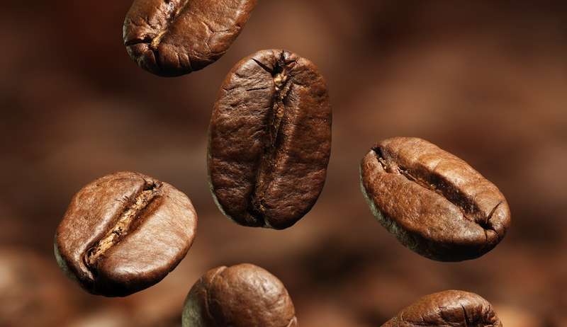el-cafe-engorda