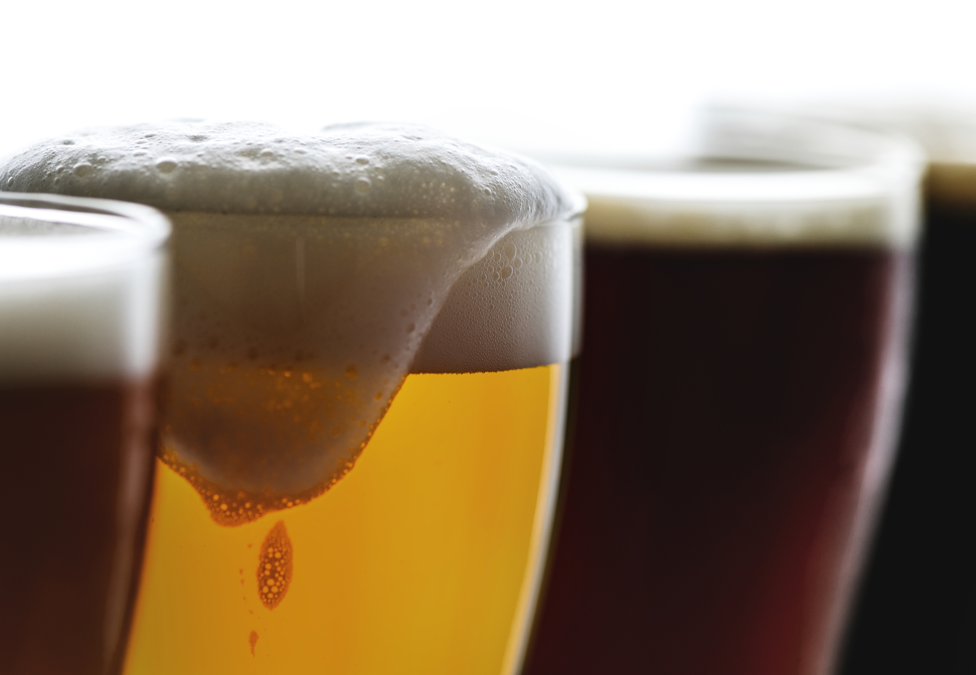 ¿La cerveza es buena? ¿La cerveza engorda?