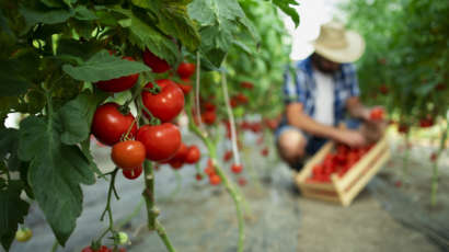 alimentacion sostenible